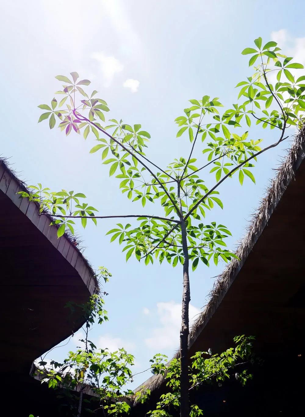 pg�齫����(�ٷ���)�ƽ�/����/���ֹٷ���վ