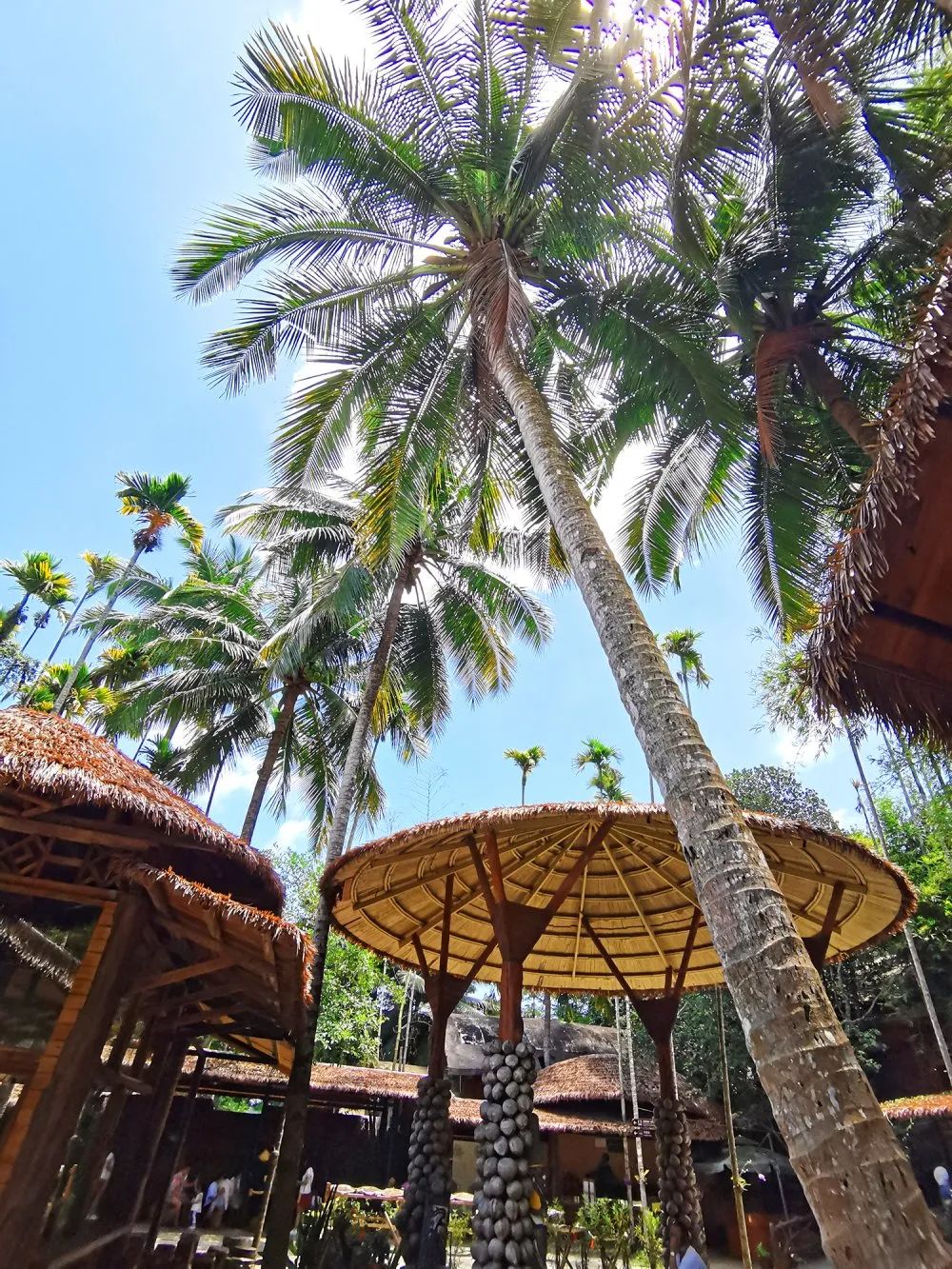 pg�齫����(�ٷ���)�ƽ�/����/���ֹٷ���վ